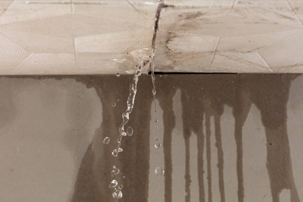 Professional Structural Drying technician working in Altair, TX
